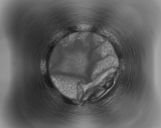 X0000095930599200802081218
