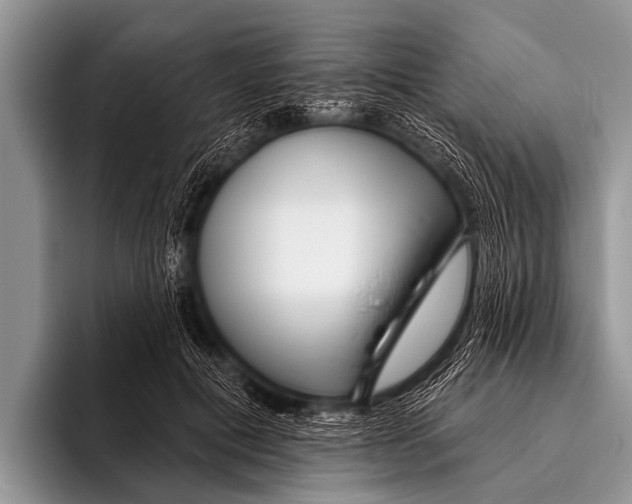 X0000095930601200802081218