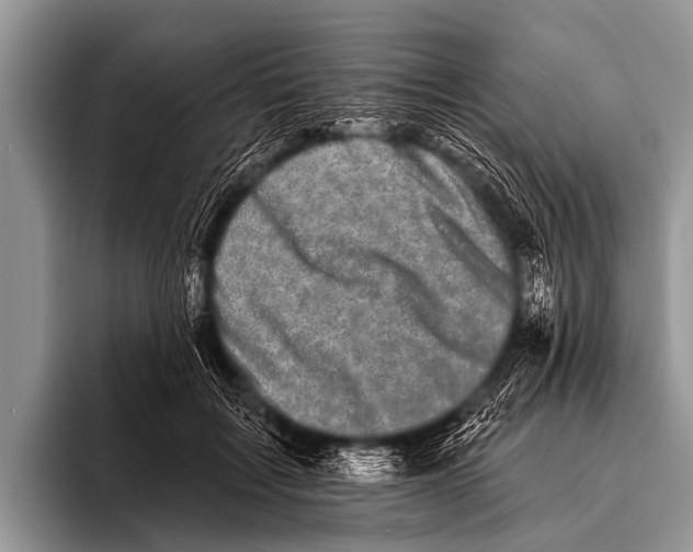 X0000095930603200802081218