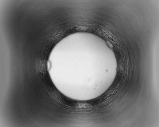 X0000095930605200802081218