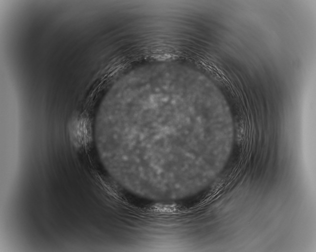 X0000095930606200802081218