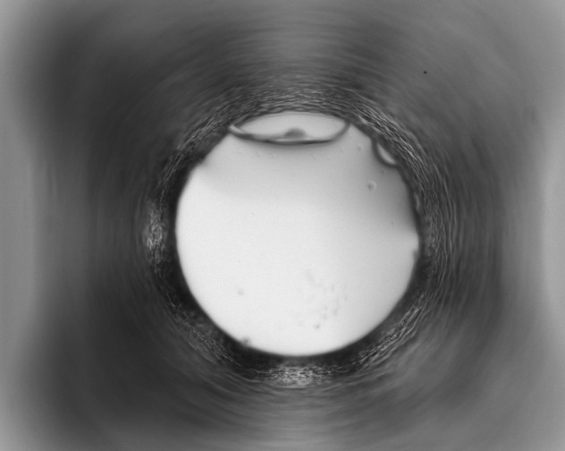 X0000095930608200802081218