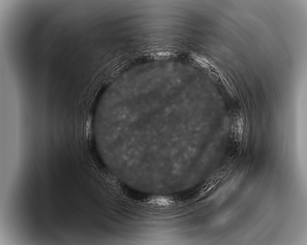 X0000095930610200802081218