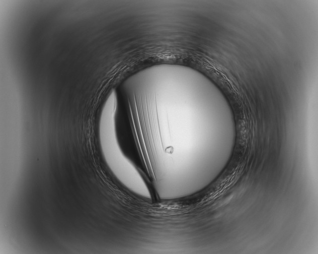 X0000095930612200802081218