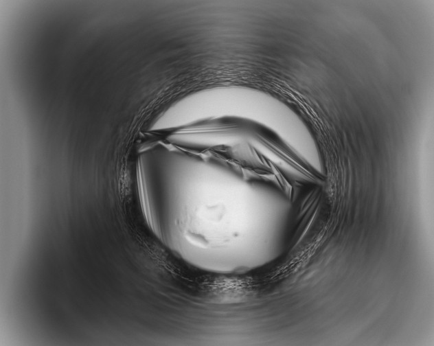 X0000095930613200802081218
