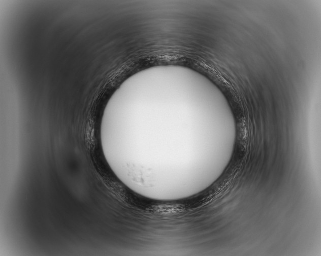 X0000095930615200802081218