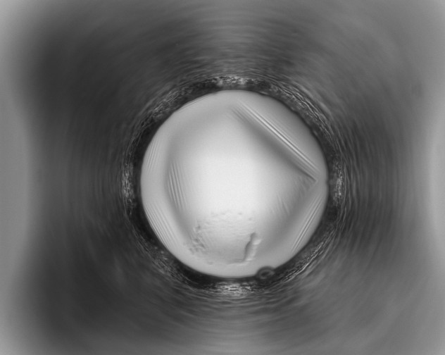 X0000095930616200802081218