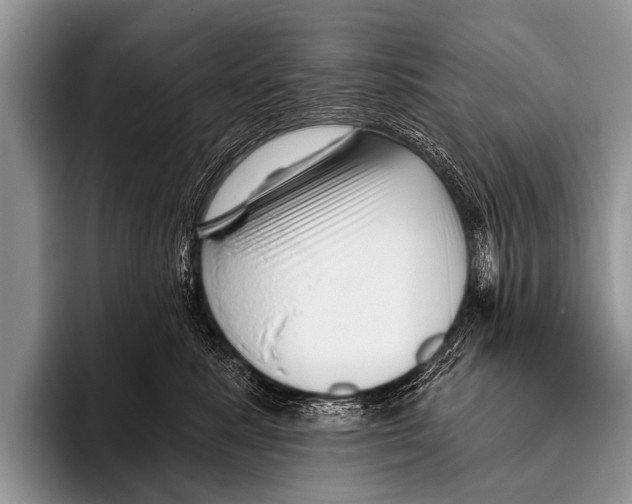 X0000095930619200802081218