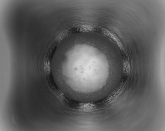 X0000095930621200802081218