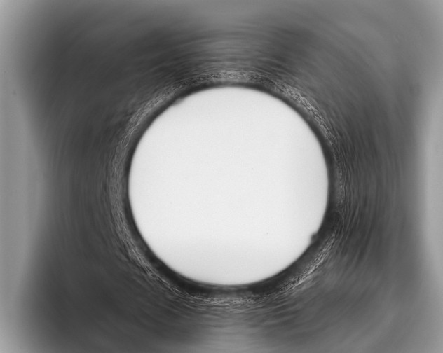 X0000095930625200802081217