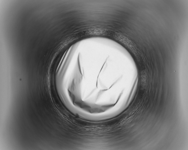 X0000095930626200802081217