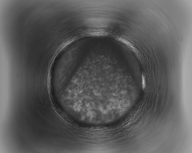 X0000095930627200802081217