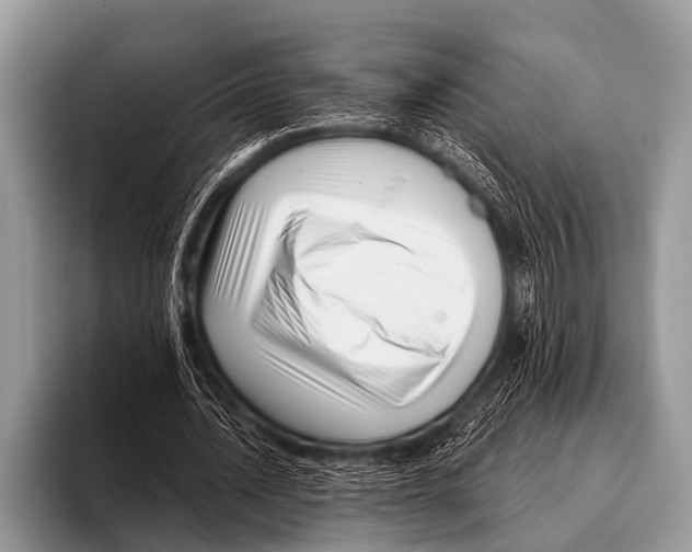 X0000095930628200802081217