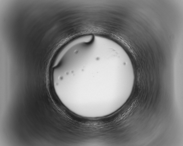 X0000095930629200802081217