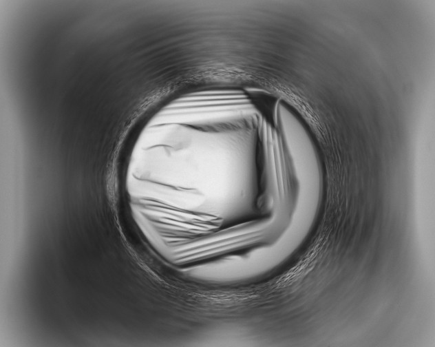 X0000095930630200802081217