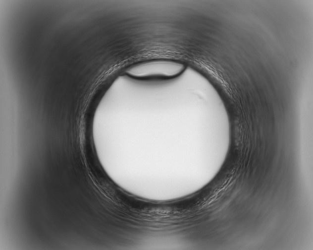 X0000095930631200802081217
