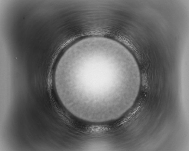 X0000095930632200802081217