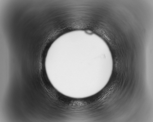 X0000095930635200802081217