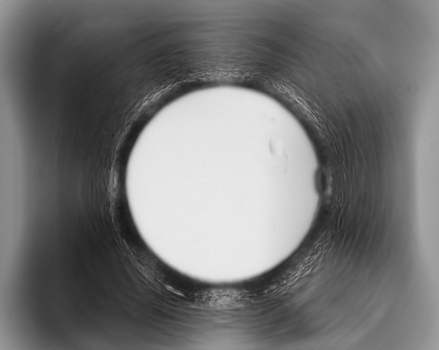 X0000095930636200802081217