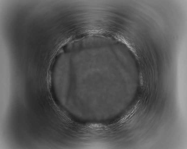X0000095930637200802081217