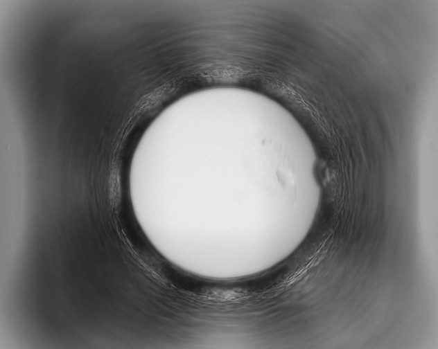 X0000095930638200802081217