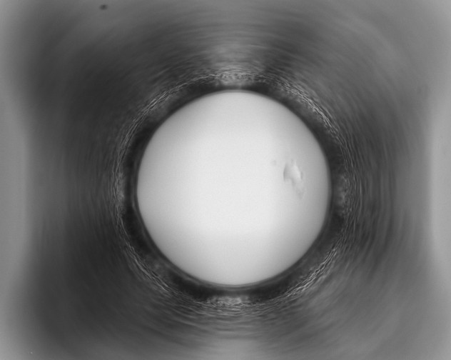 X0000095930639200802081217