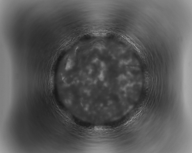 X0000095930641200802081217