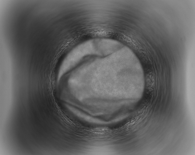 X0000095930642200802081217