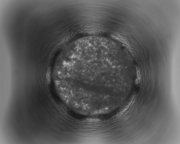 X0000095930644200802081217