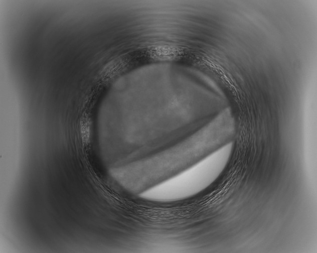 X0000095930647200802081217
