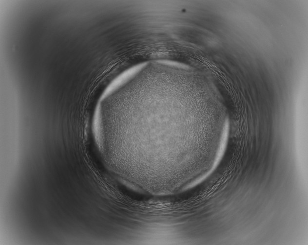 X0000095930648200802081217