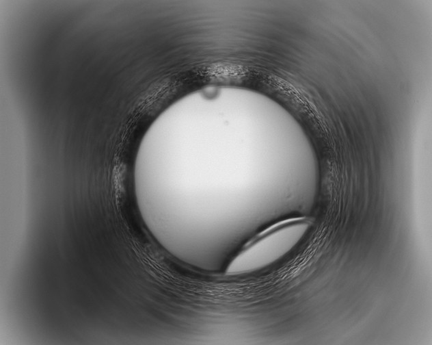 X0000095930649200802081217
