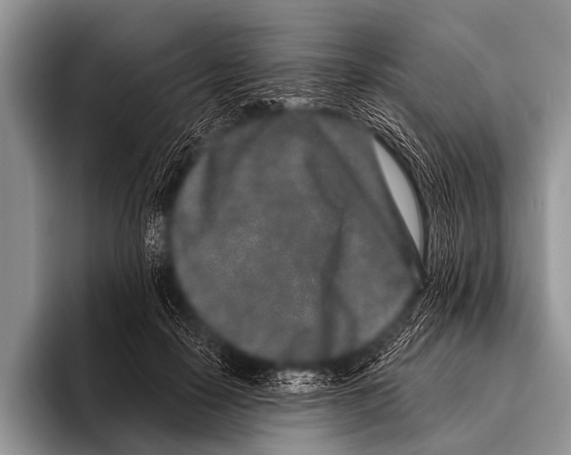 X0000095930650200802081217
