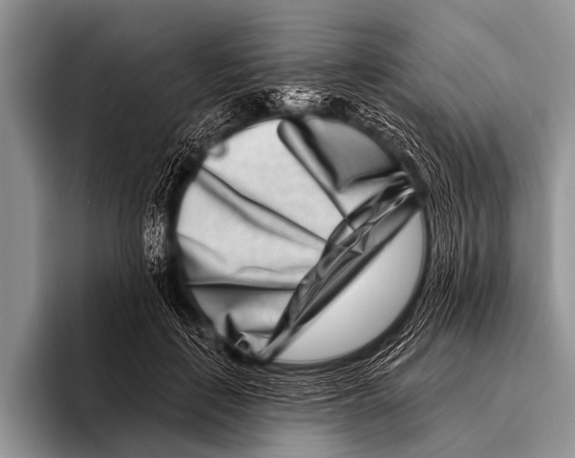 X0000095930651200802081218