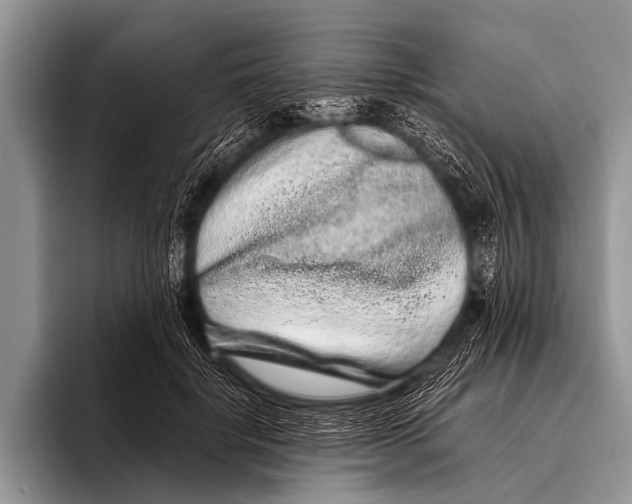 X0000095930652200802081218