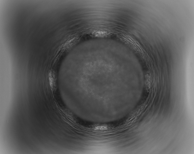X0000095930653200802081218