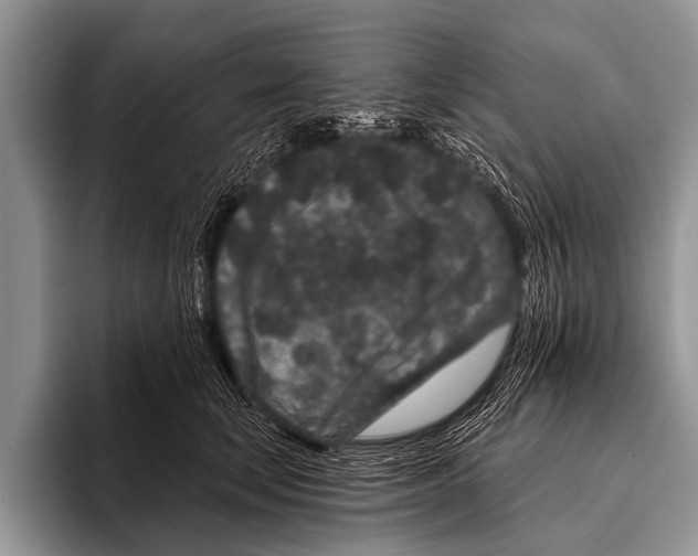 X0000095930659200802081218