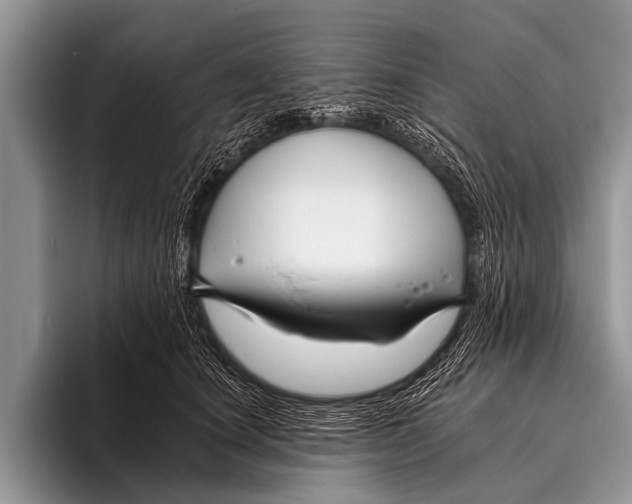 X0000095930660200802081218