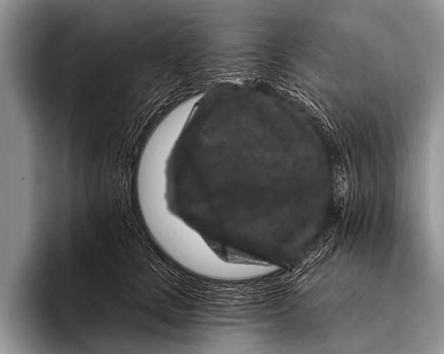 X0000095930661200802081218
