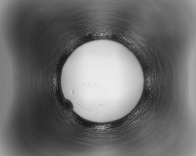 X0000095930662200802081218