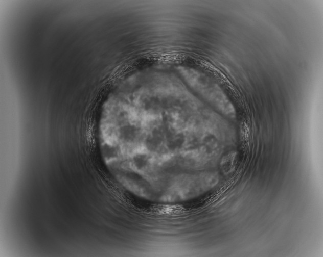 X0000095930663200802081218