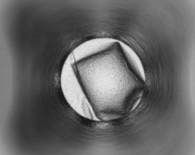 X0000095930669200802081218