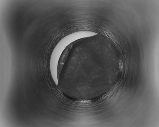 X0000095930670200802081218