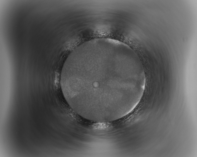 X0000095930672200802081218