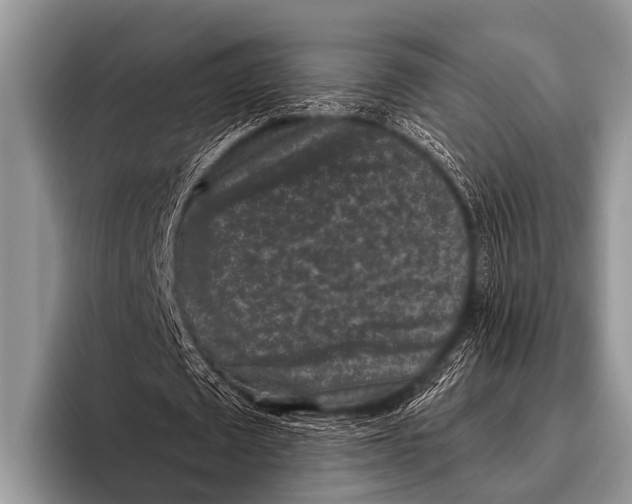 X0000095930673200802081217