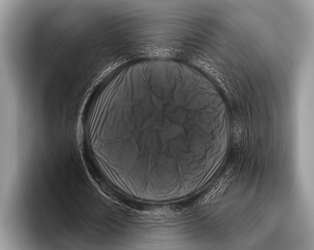 X0000095930674200802081217