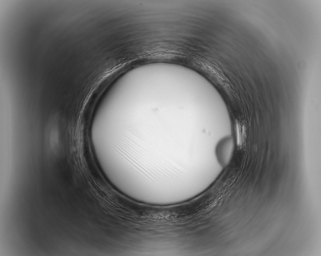X0000095930675200802081217