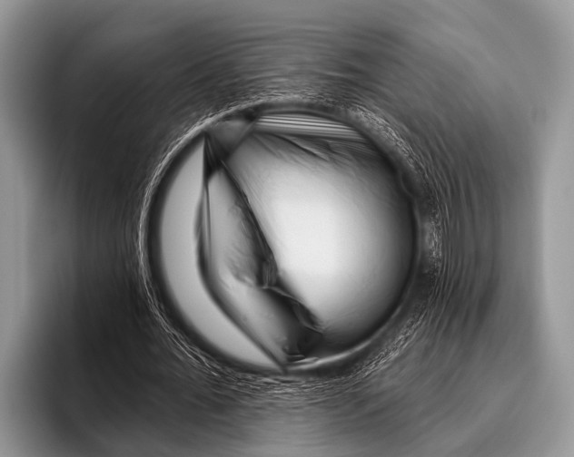 X0000095930676200802081217