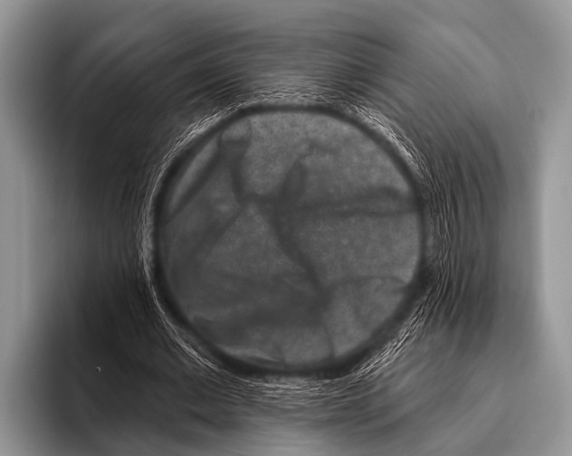 X0000095930677200802081217
