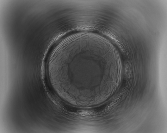 X0000095930678200802081217